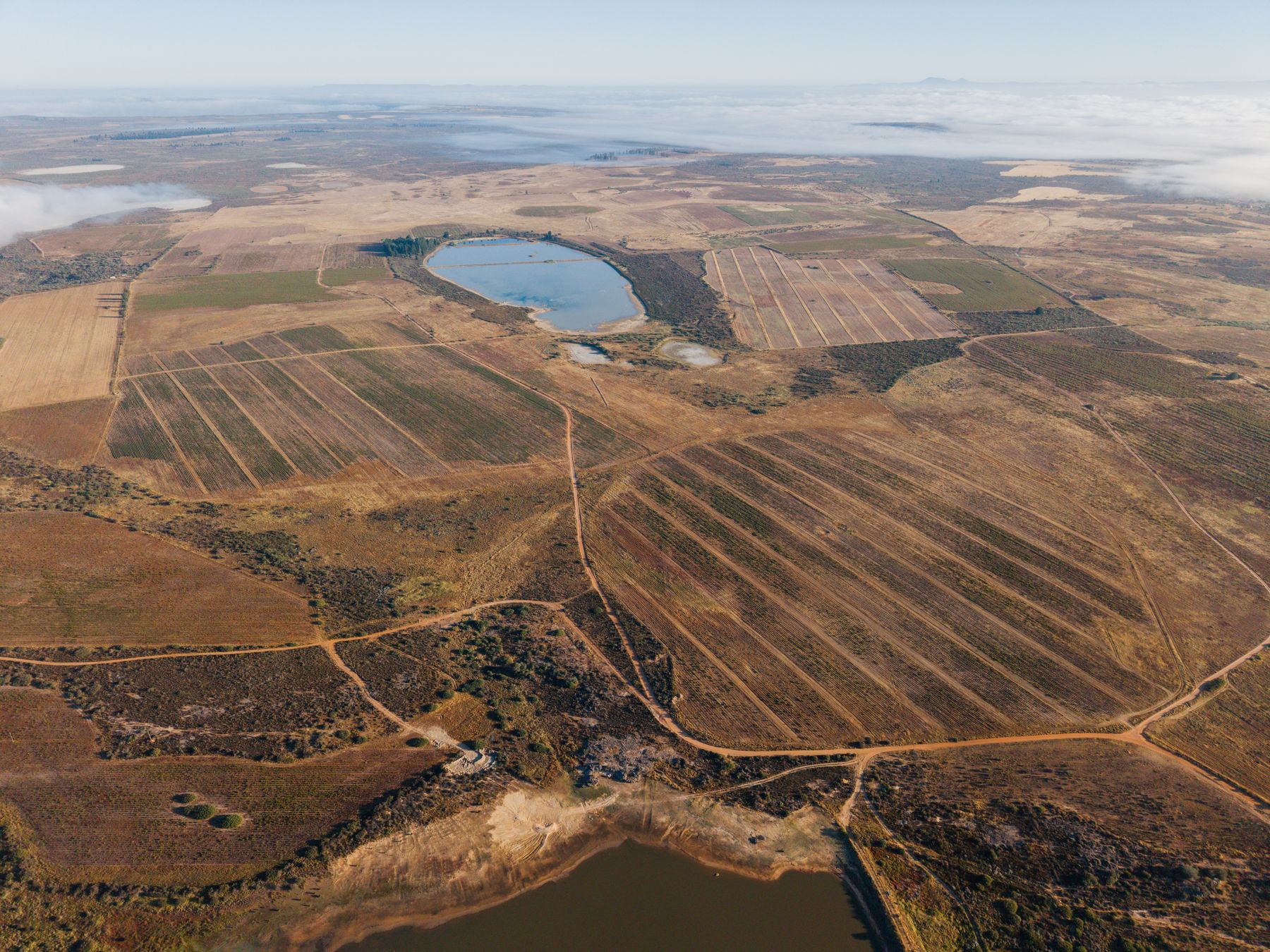 Aerial view of a farm dam and ploughed blocks with roads between them