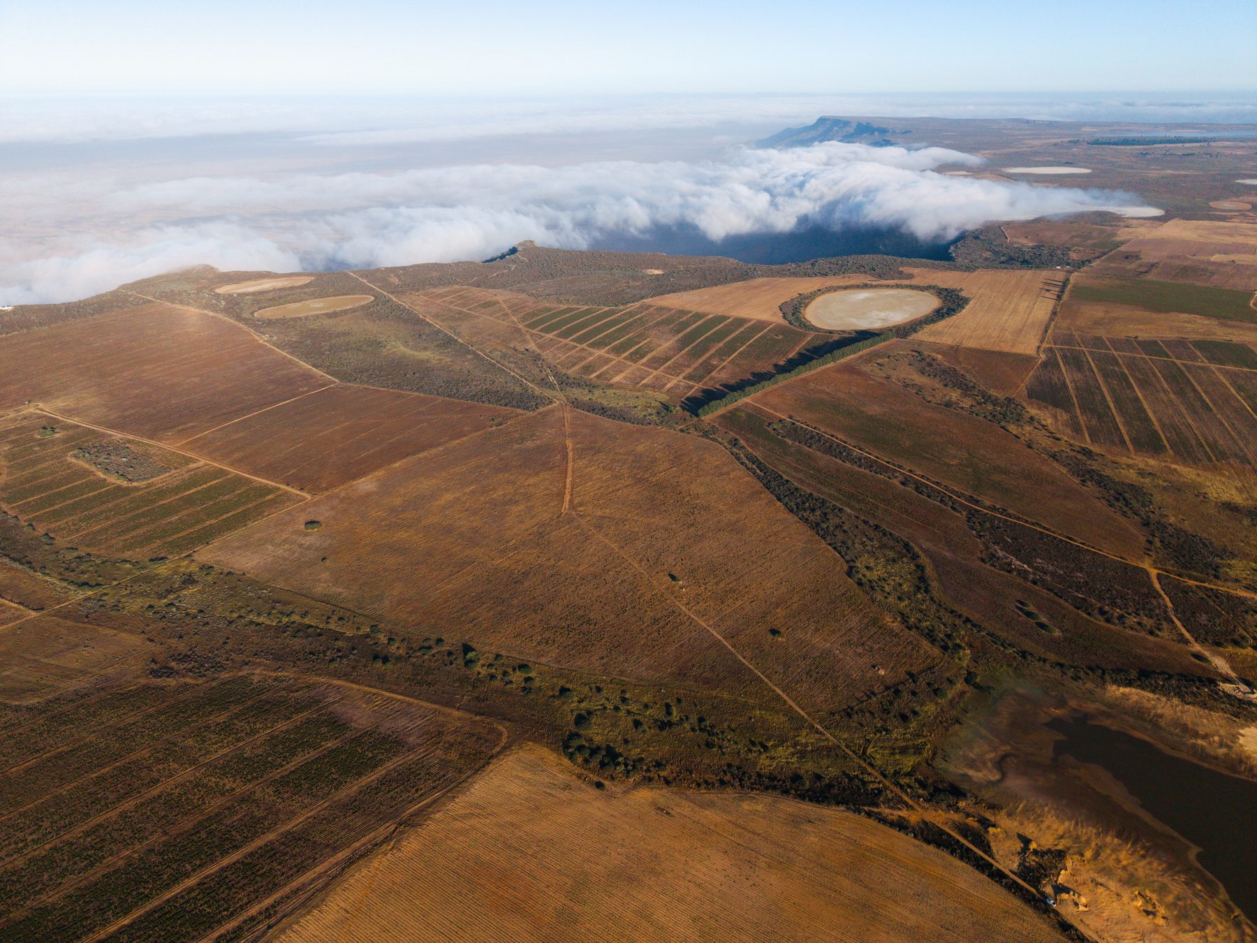 Aerial view of planted blocks and a dam with morning cloud lying on the escarpment behind