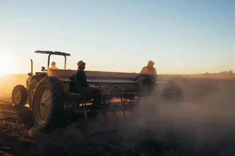 A tractor and implement working in dusty evening light